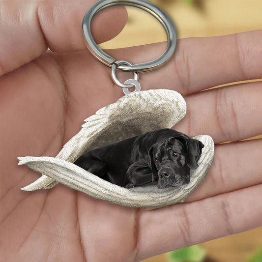 Sleeping Angel Acrylic Keychain Black Great Dane