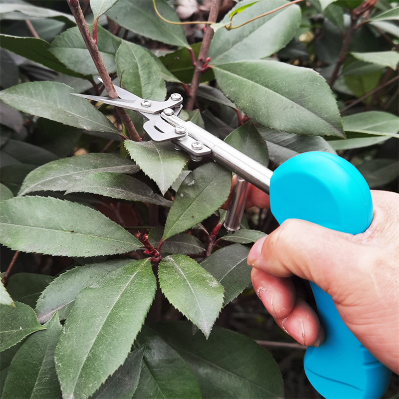 Precision Garden Scissors