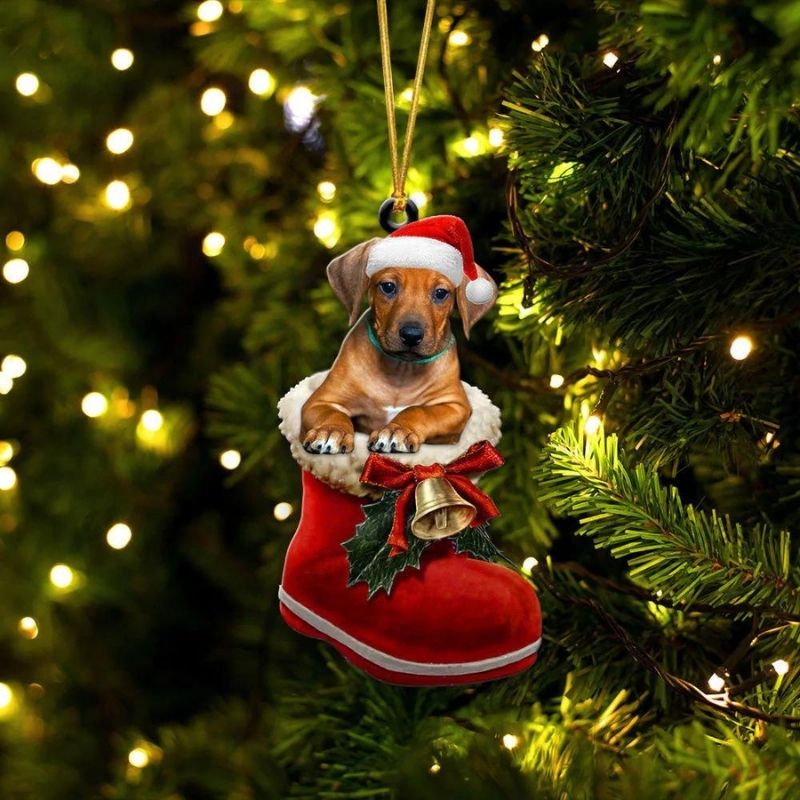 Rhodesian Ridgeback In Santa Boot Christmas Hanging Ornament SB118