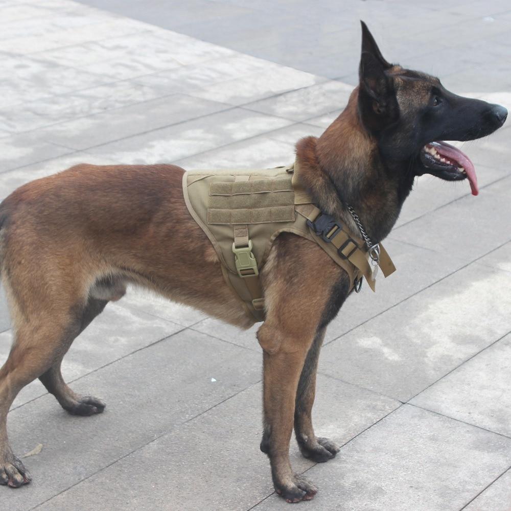 VIP Tactical Store  K9 Field Armor