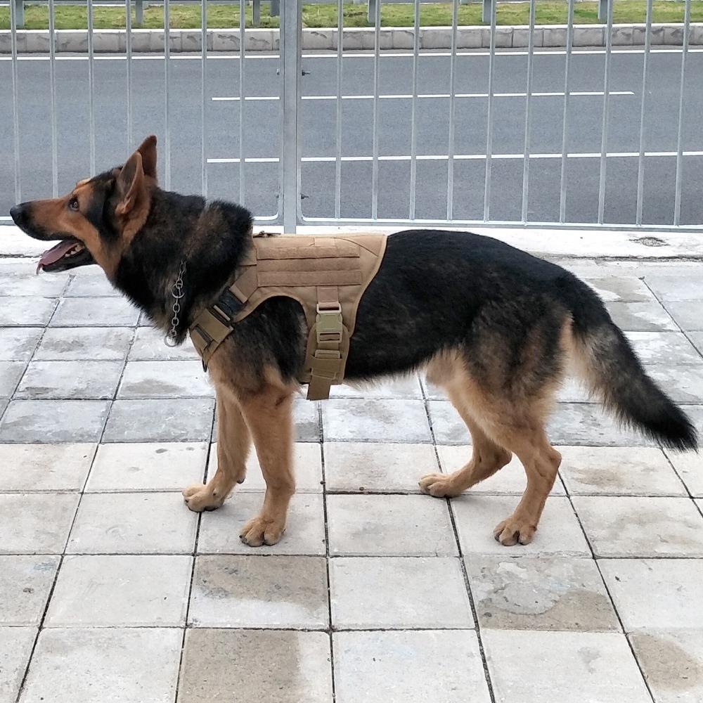 VIP Tactical Store  K9 Field Armor