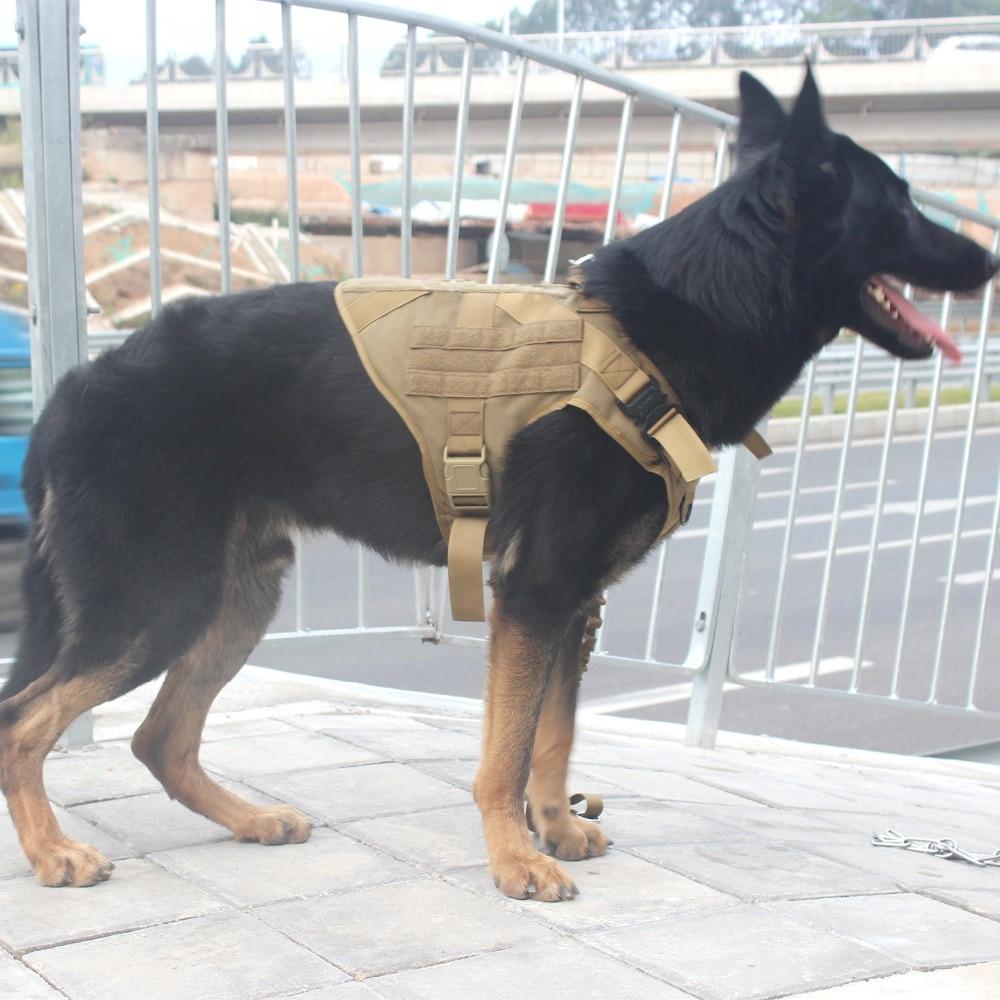 VIP Tactical Store  K9 Field Armor