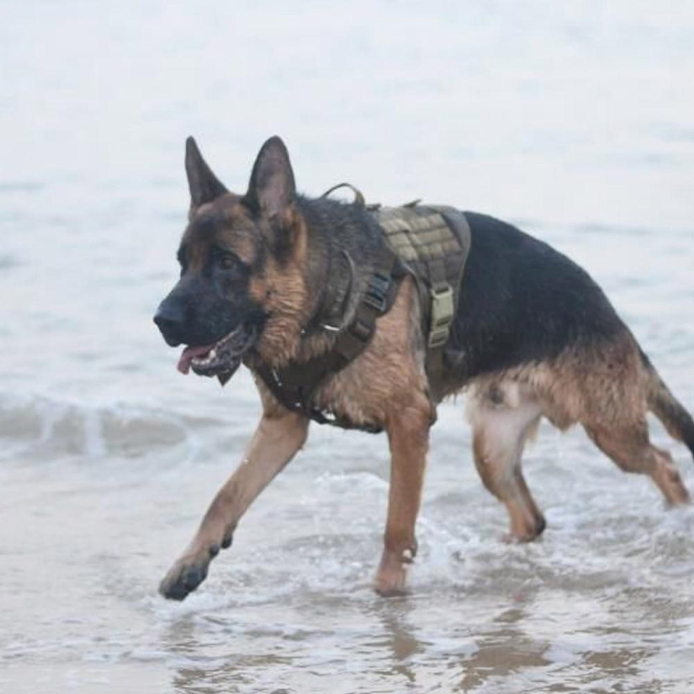 VIP Tactical Store  K9 Field Armor